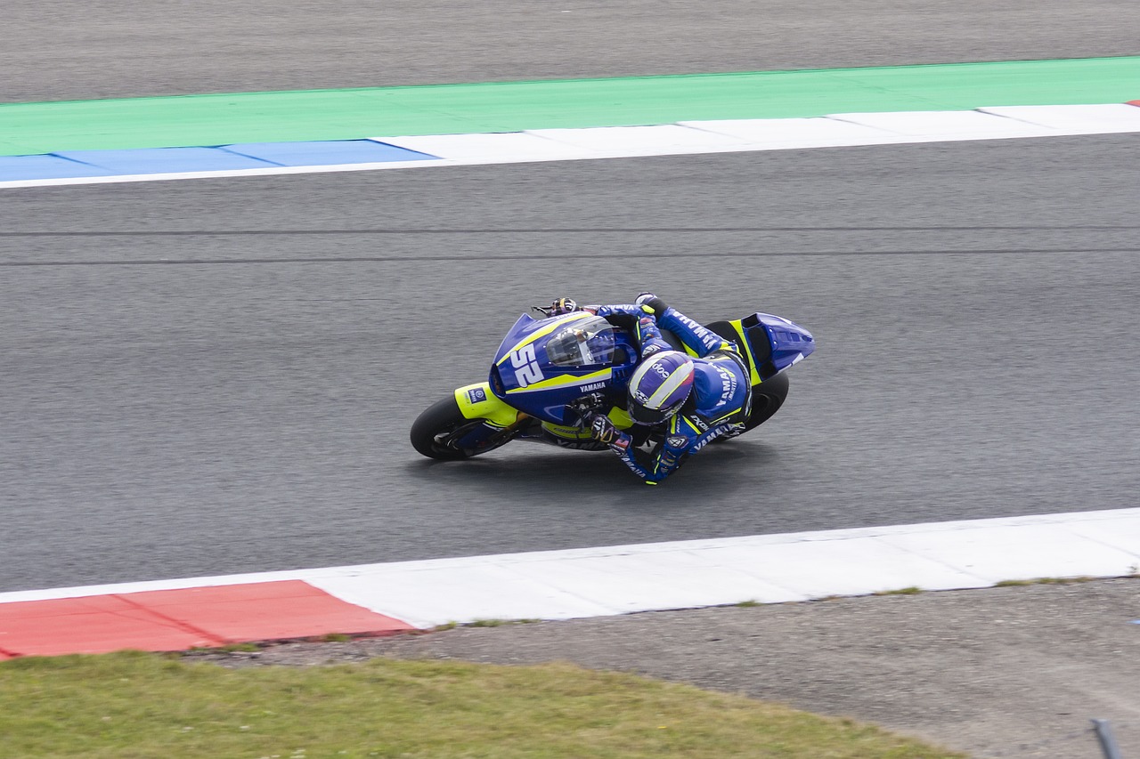 除了营养 除了营养