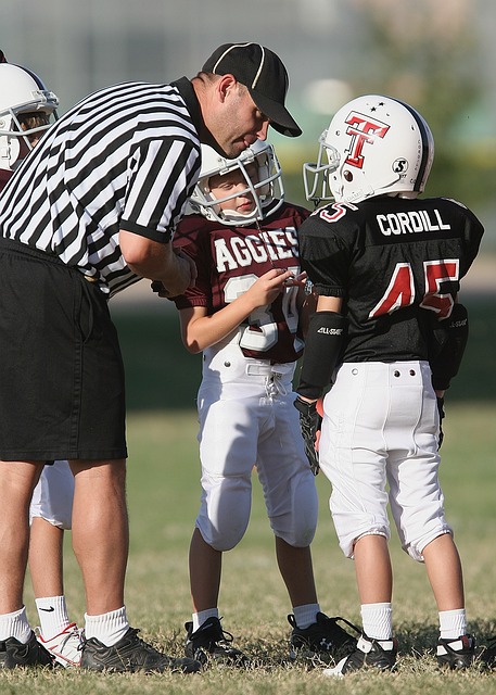 可以显著提 可以显著提