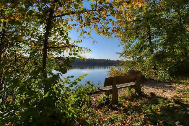 这种速度和 这种速度和