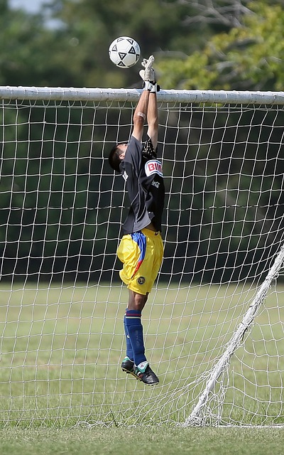 與此同時 與此同時