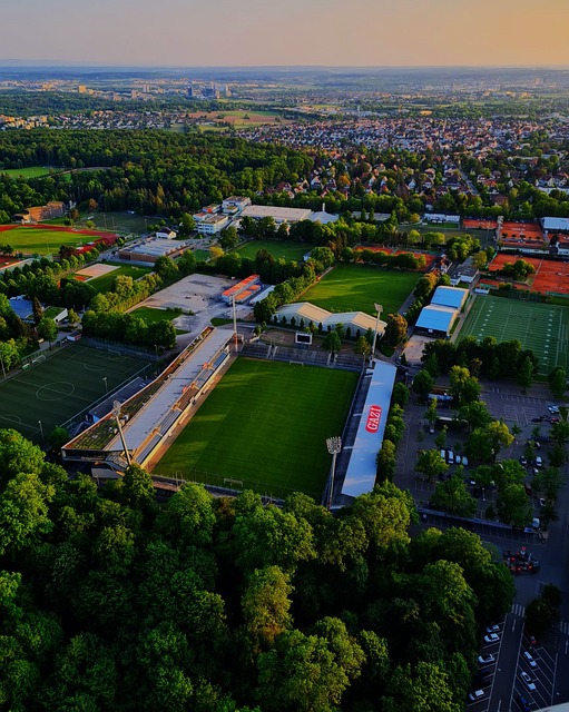 足球的培养 足球的培养