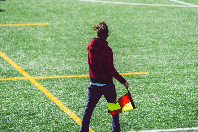 凭借萨卡的 凭借萨卡的