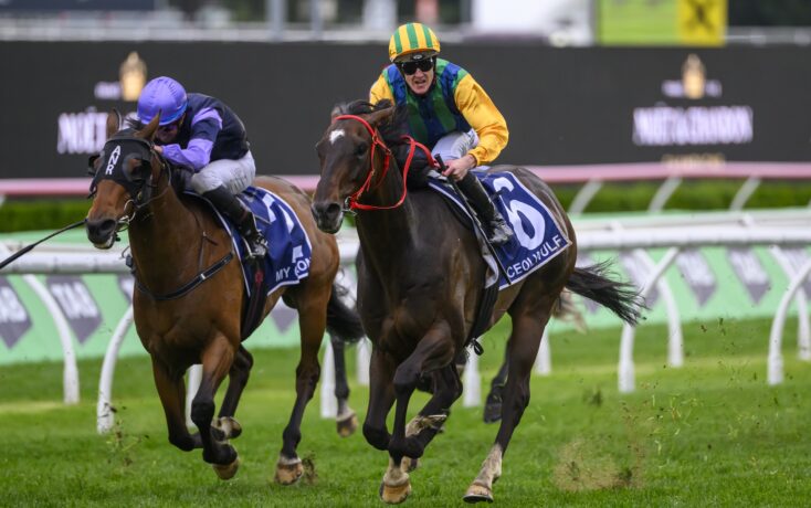 角和多元化 角和多元化